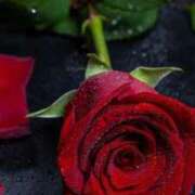 ヒメ日記 2026/01/29 20:51 投稿 ちなつ 激安ピーチ