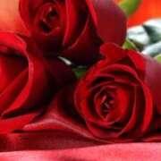 ヒメ日記 2026/01/31 14:11 投稿 ちなつ 激安ピーチ