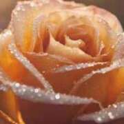 ヒメ日記 2026/02/05 17:59 投稿 ちなつ 激安ピーチ