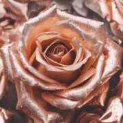 ヒメ日記 2026/02/10 15:01 投稿 ちなつ 激安ピーチ