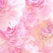 ヒメ日記 2026/02/12 16:14 投稿 ちなつ 激安ピーチ