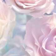 ヒメ日記 2026/02/12 20:59 投稿 ちなつ 激安ピーチ