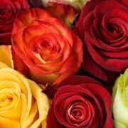 ヒメ日記 2026/02/17 19:12 投稿 ちなつ 激安ピーチ