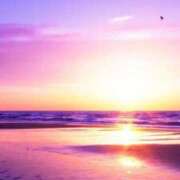 ヒメ日記 2026/02/19 16:09 投稿 ちなつ 激安ピーチ