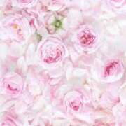 ヒメ日記 2026/02/22 21:27 投稿 ちなつ 激安ピーチ