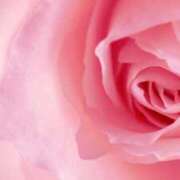 ヒメ日記 2026/02/27 14:33 投稿 ちなつ 激安ピーチ