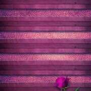 ヒメ日記 2026/02/28 18:09 投稿 ちなつ 激安ピーチ