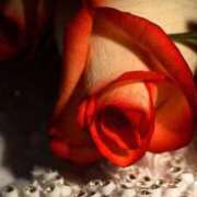 ヒメ日記 2026/03/03 18:09 投稿 ちなつ 激安ピーチ