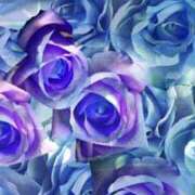 ヒメ日記 2026/03/05 20:22 投稿 ちなつ 激安ピーチ