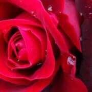 ヒメ日記 2026/03/08 21:19 投稿 ちなつ 激安ピーチ