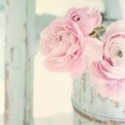 ヒメ日記 2026/03/17 17:39 投稿 ちなつ 激安ピーチ