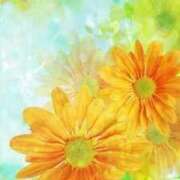 ヒメ日記 2026/03/19 18:49 投稿 ちなつ 激安ピーチ