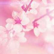 ヒメ日記 2026/04/11 18:29 投稿 ちなつ 激安ピーチ