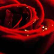 ヒメ日記 2026/04/12 21:29 投稿 ちなつ 激安ピーチ