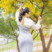 ヒメ日記 2025/02/23 18:31 投稿 まや Sakura Spa