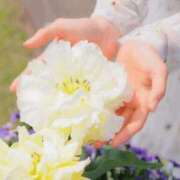 ヒメ日記 2025/06/10 09:10 投稿 まや Sakura Spa