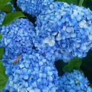 ヒメ日記 2025/06/21 16:01 投稿 まや Sakura Spa