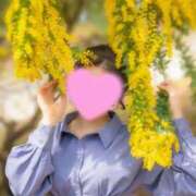 ヒメ日記 2026/03/23 10:30 投稿 まや Sakura Spa