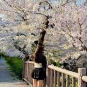 ヒメ日記 2025/04/10 11:22 投稿 ゆら◇可愛さ感無量な美少女◇ H-ash（アッシュ）