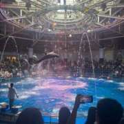 ヒメ日記 2025/07/17 12:04 投稿 ゆら◇可愛さ感無量な美少女◇ H-ash（アッシュ）