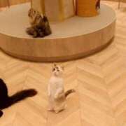 るり ありがとうございました！ PHANTOM(ファントム)