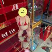 ヒメ日記 2025/10/13 12:43 投稿 まさき 熟女家 十三店