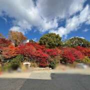 ヒメ日記 2025/11/27 14:19 投稿 まさき 熟女家 十三店