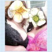 ヒメ日記 2026/02/10 13:34 投稿 まさき 熟女家 十三店