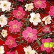 茉莉子(まりこ) 今年度　お初〜 五十路エステハイブリッド(カサブランカグループ)