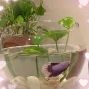 ヒメ日記 2025/01/08 12:20 投稿 らん 大塚 虹いろ回春