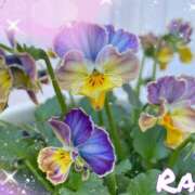 ヒメ日記 2025/02/24 15:22 投稿 らん 大塚 虹いろ回春