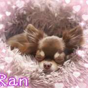 ヒメ日記 2025/03/03 13:17 投稿 らん 大塚 虹いろ回春