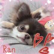 ヒメ日記 2025/03/08 07:24 投稿 らん 大塚 虹いろ回春