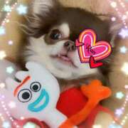 ヒメ日記 2025/04/05 14:45 投稿 らん 大塚 虹いろ回春