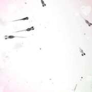 ヒメ日記 2025/04/18 12:21 投稿 らん 大塚 虹いろ回春