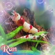 ヒメ日記 2025/05/26 13:21 投稿 らん 大塚 虹いろ回春