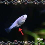 ヒメ日記 2025/05/30 13:41 投稿 らん 大塚 虹いろ回春