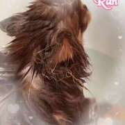 ヒメ日記 2025/06/11 11:23 投稿 らん 大塚 虹いろ回春