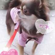 ヒメ日記 2025/06/26 12:25 投稿 らん 大塚 虹いろ回春