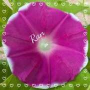 ヒメ日記 2025/07/21 11:33 投稿 らん 大塚 虹いろ回春