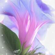 ヒメ日記 2025/08/02 13:43 投稿 らん 大塚 虹いろ回春