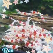 ヒメ日記 2025/08/16 13:13 投稿 らん 大塚 虹いろ回春