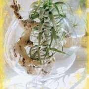 ヒメ日記 2025/08/29 12:23 投稿 らん 大塚 虹いろ回春