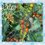 ヒメ日記 2025/09/02 17:11 投稿 らん 大塚 虹いろ回春