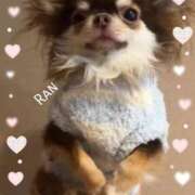 ヒメ日記 2025/11/13 13:50 投稿 らん 大塚 虹いろ回春