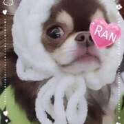 ヒメ日記 2025/11/15 12:16 投稿 らん 大塚 虹いろ回春