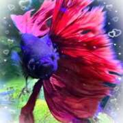 ヒメ日記 2025/11/23 14:56 投稿 らん 大塚 虹いろ回春