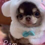 ヒメ日記 2025/12/05 12:27 投稿 らん 大塚 虹いろ回春