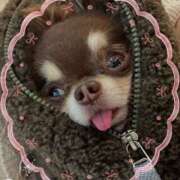 ヒメ日記 2025/12/30 12:17 投稿 らん 大塚 虹いろ回春