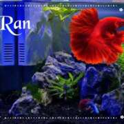 ヒメ日記 2026/01/08 13:27 投稿 らん 大塚 虹いろ回春